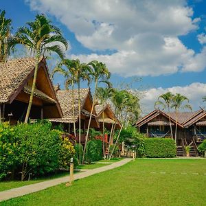 Pai Homey